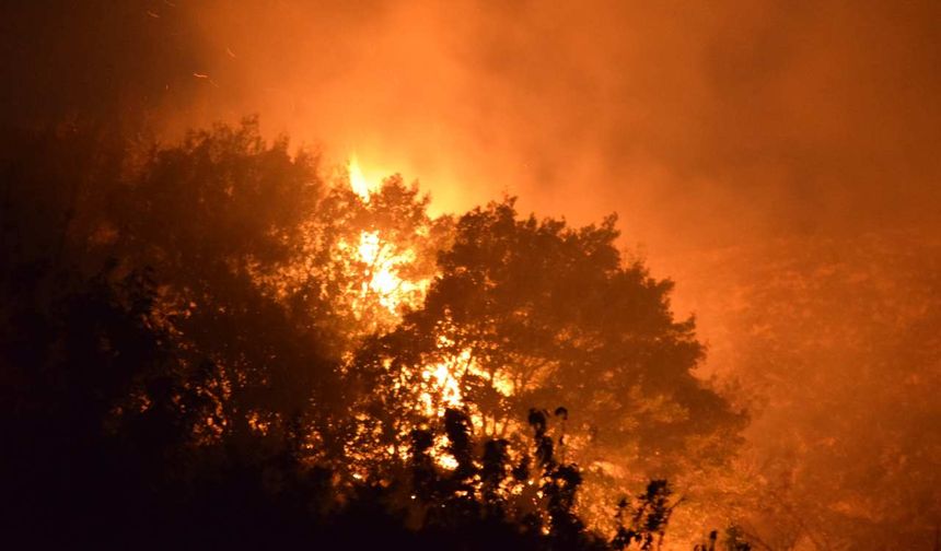 Çanakkale’de orman yangını: İki köy boşaltıldı