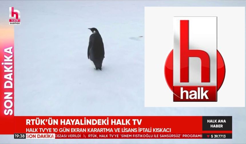 Halk TV’den RTÜK’e mizahi tepki: 'RTÜK’ün hayalindeki Halk TV' notuyla ana haberde penguen belgeseli!