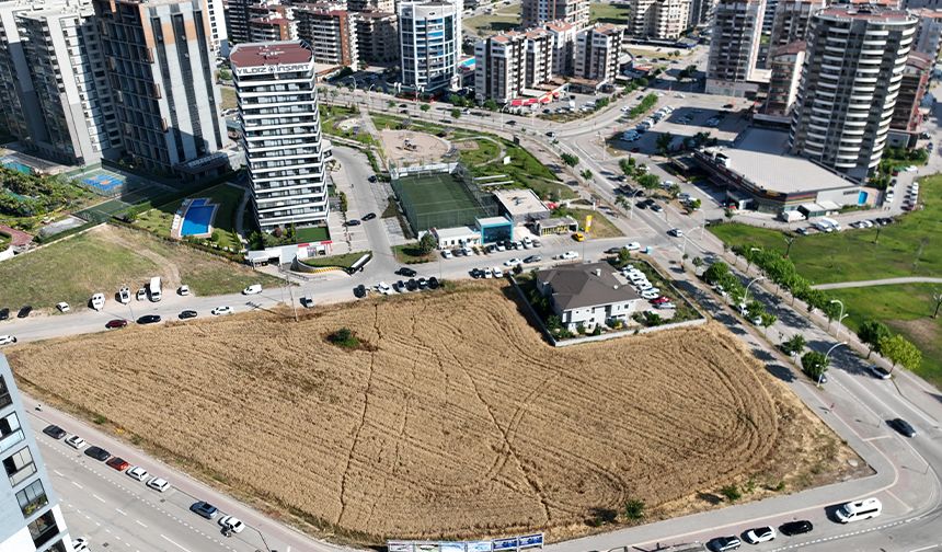 Milyon dolarlık manzaraya karşı buğday hasadı