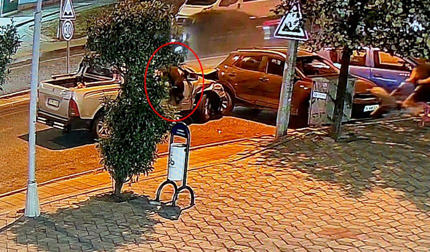 Sarhoş sürücü faciası: Köpek can havliyle camdan uçtu
