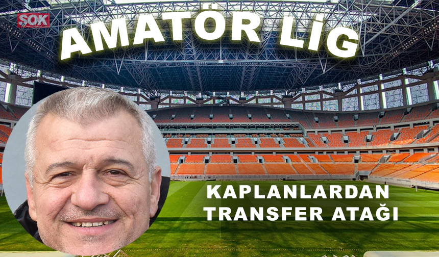 Kaplanlardan transfer atağı