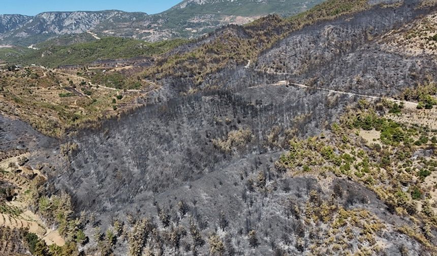 Alanya'da yangından zarar gören alanlar havadan görüntülendi