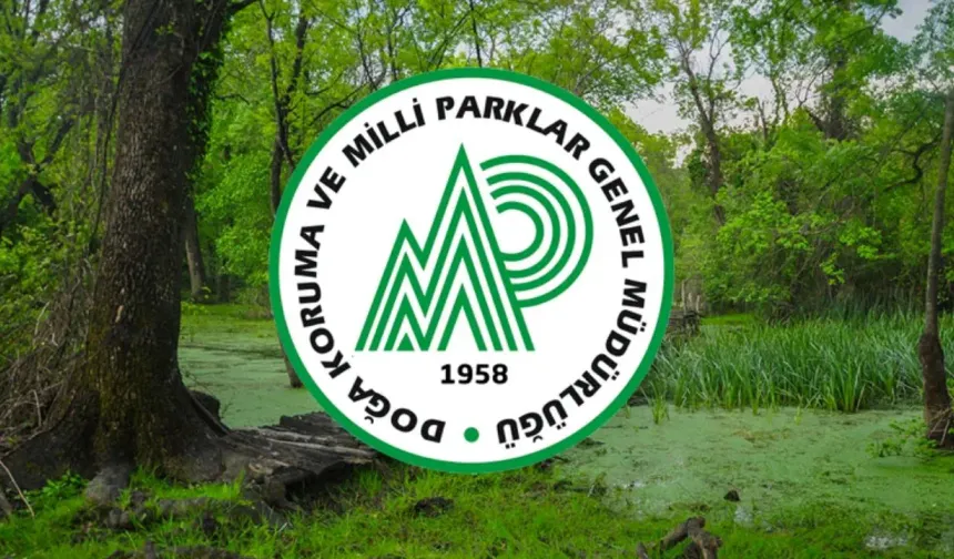 Doğa Koruma ve Milli Parklar Genel Müdürlüğü personel alımı 2025 başvurusu ne zaman, nasıl yapılır? Başvuru yöntemi!