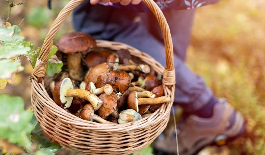 Yağmur yağdı, fiyatı 300 liradan 100 liraya düştü