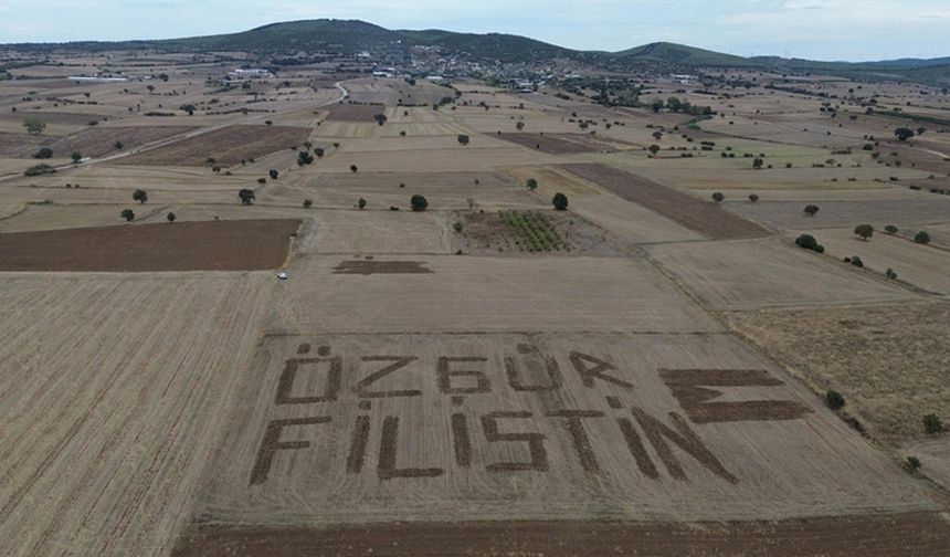 Çanakkaleli çiftçi Filistin'e destek için tarlasına traktörle "Özgür Filistin" yazdı