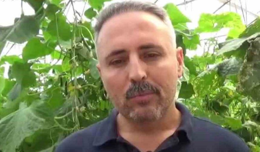 İlçesinde sera eksikliği gördü, 10 bin metrekarelik alana salatalık serası kurdu