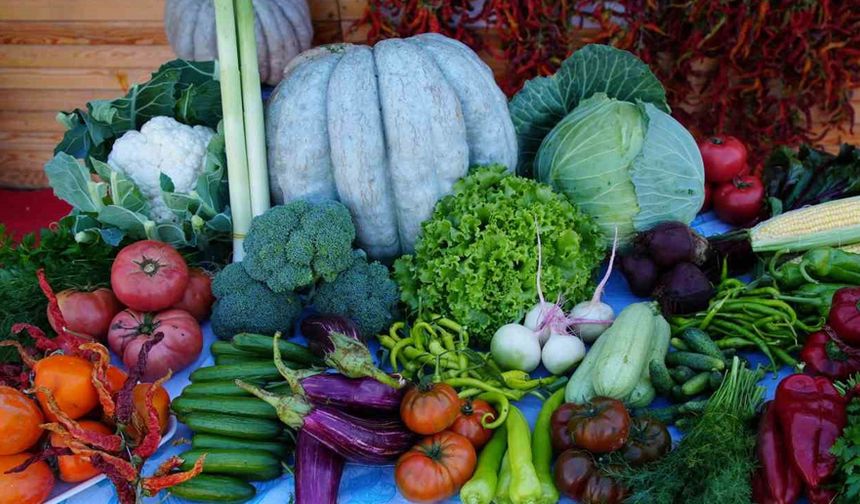 Edirneli üreticiler ata tohumundan ürettikleri ürünleri Millet Bahçesi’nde satışa sunuyor