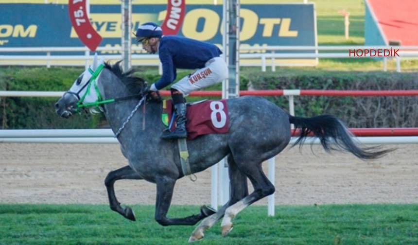 Tüyosu olan kazanır! 11 Kasım at yarışı tahminleri