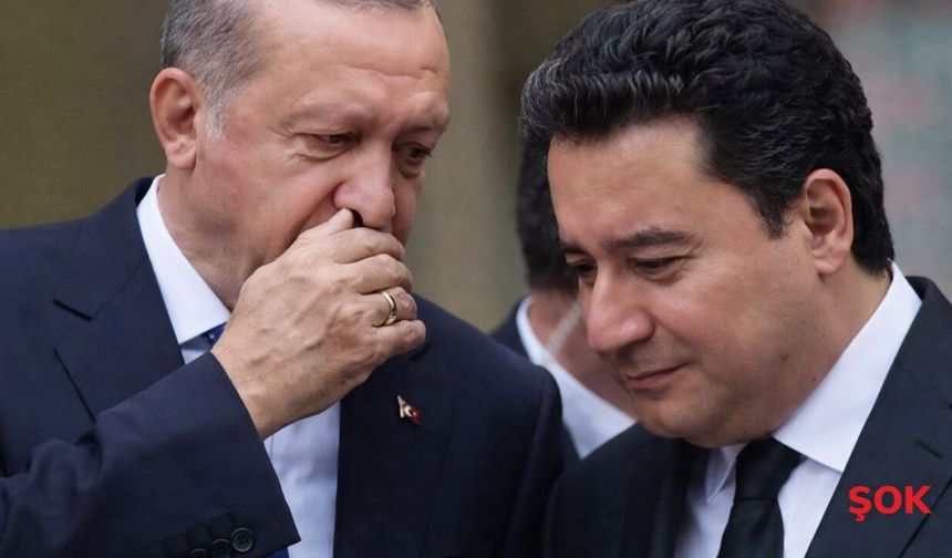 AK Parti ile DEVA arasında ilk temas! Ali Babacan açıkladı