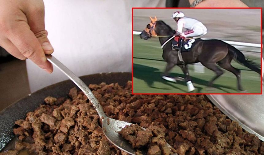 Şampiyon at kavurma olmuştu... 'Başka atlar da var' iddiası ortalığı karıştırdı!