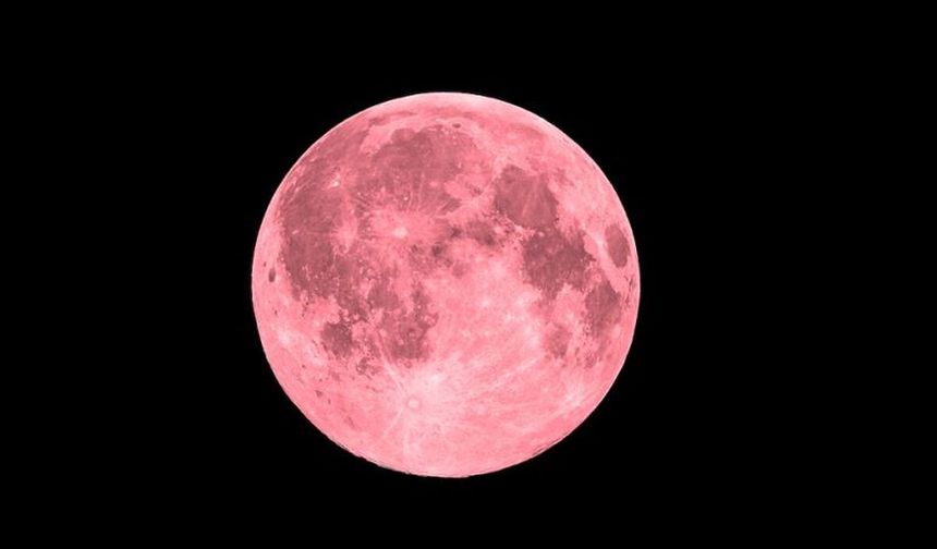 Pembe Dolunay sürprizlerle geliyor! Kim kazanacak, kim kaybedecek?