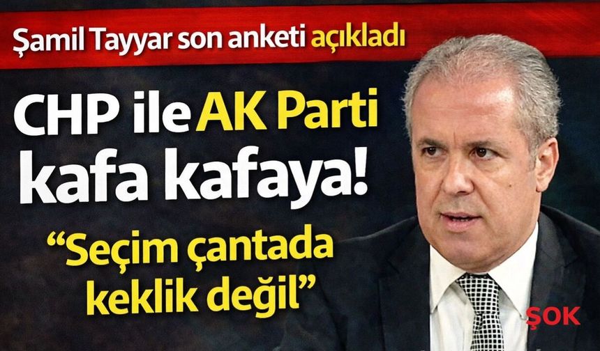 Şamil Tayyar’dan flaş anket yorumu: 'Çantada keklik değil'