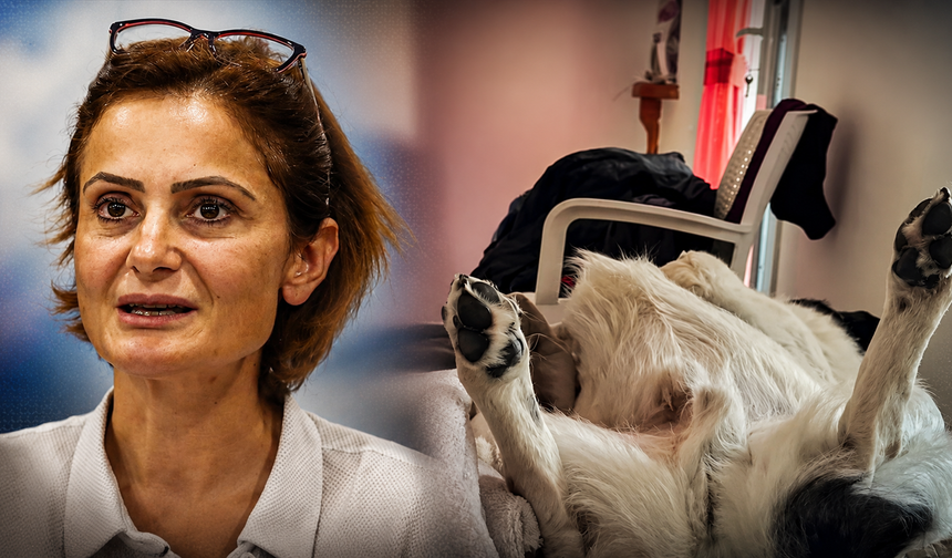Canan Kaftancıoğlu’ndan olay paylaşım sonrası açıklama: 'Partim polis ablukası altındayken…'
