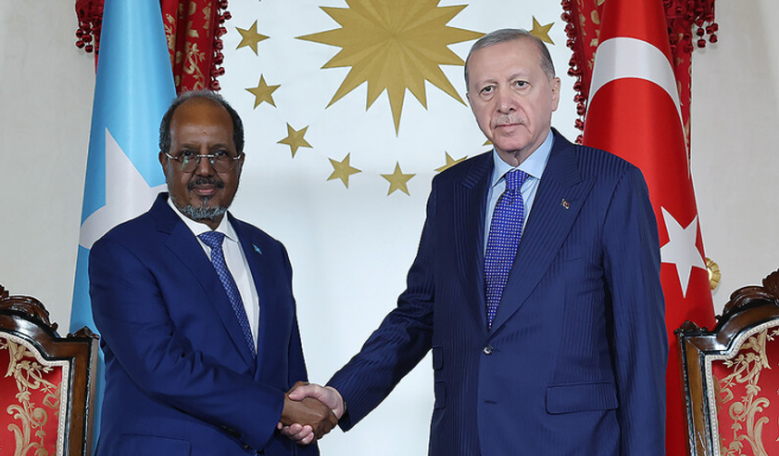 Somali Cumhurbaşkanı Mahmud: "Türkiye'den başka kimimiz var ki?"
