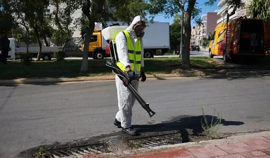 Batı Nil virüsünde yüksek dolaşım dönemi alarmı! 'Eylül sonuna kadar sürebilir'