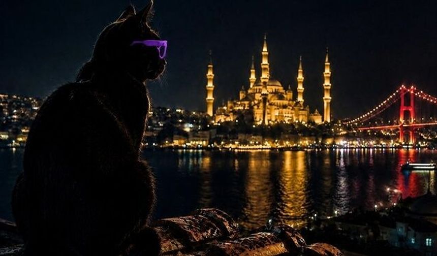 Ay Yapım’dan yapay zeka sinemasında dev adım! Kazanan Türk filmleri Cannes yolcusu