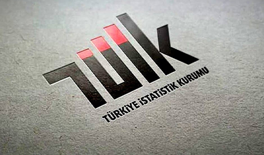 TÜİK-6