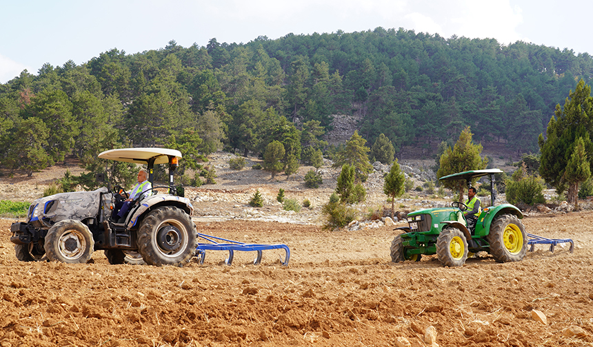 Ücretsiz tohum ve ekimle Toroslar'da boş tarlalar üretime katılıyor