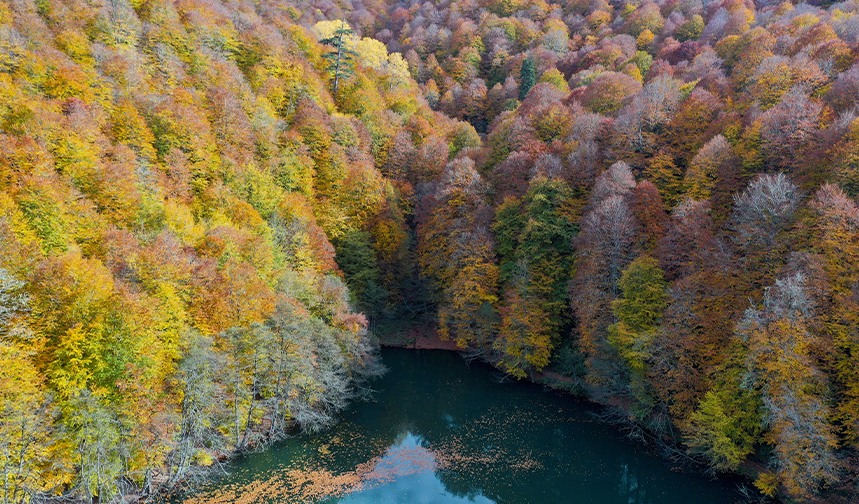 Yedigöller'de sonbahar