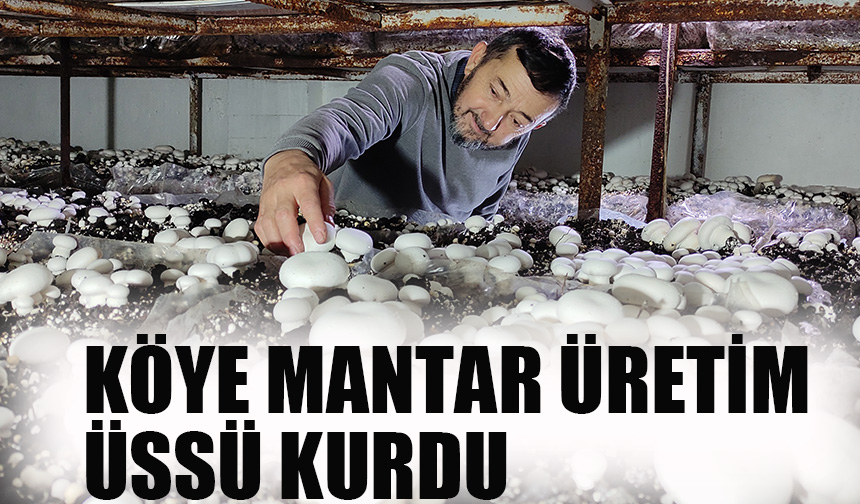 Köye mantar üretim üssü kurdu