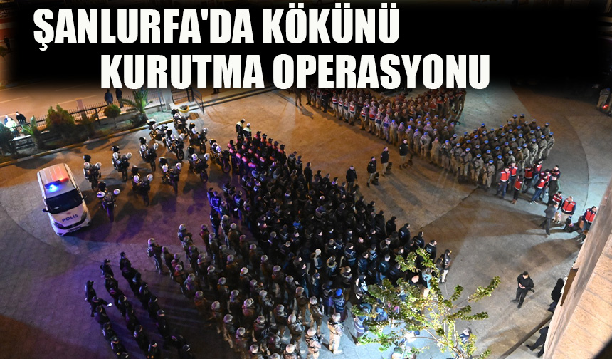 Şanlurfa'da Kökünü Kurutma Operasyonu