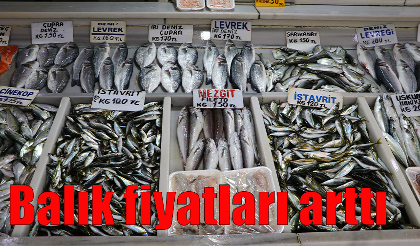 Balık fiyatları arttı