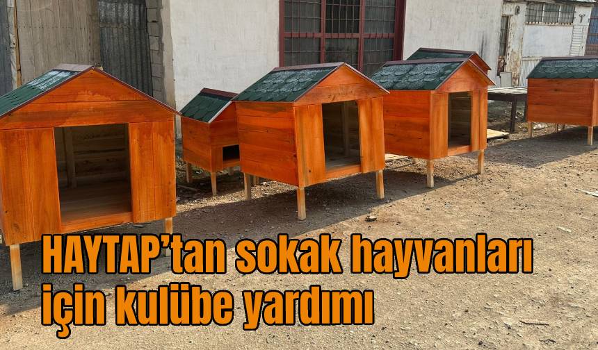 HAYTAP’tan Yüksekova’daki sokak hayvanları için kulübe yardımı