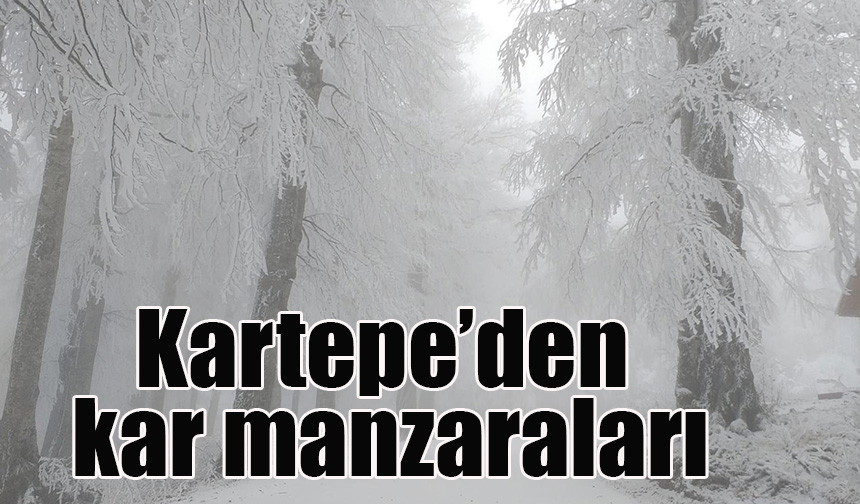 Kartepe’den kar manzaraları