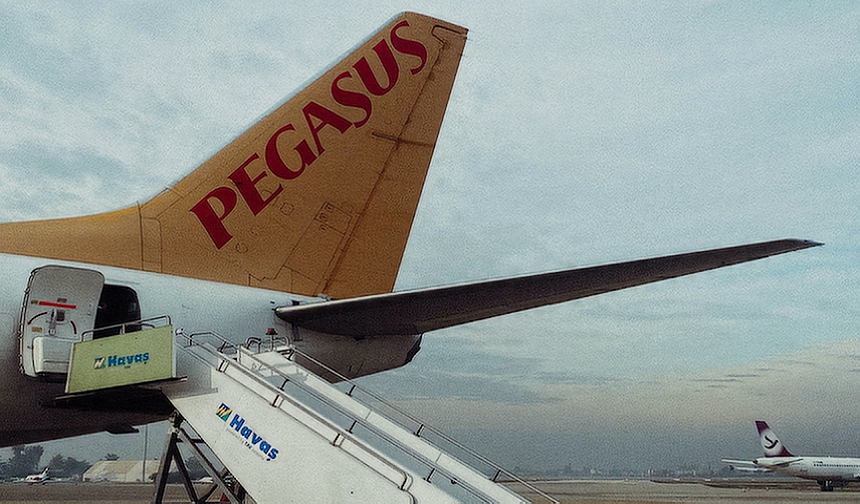 pegasus