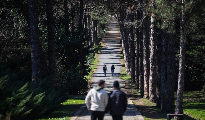 2100 yılında marmara ormanları