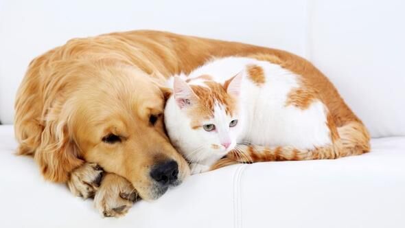 İSTANBUL İL TARIM VE ORMAN MÜDÜRLÜĞÜ