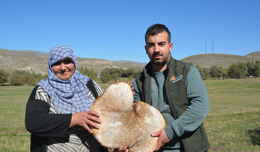 Sarıkamış'ta geleneksel peynir üretimi: İşkembeye doldurulan lezzet