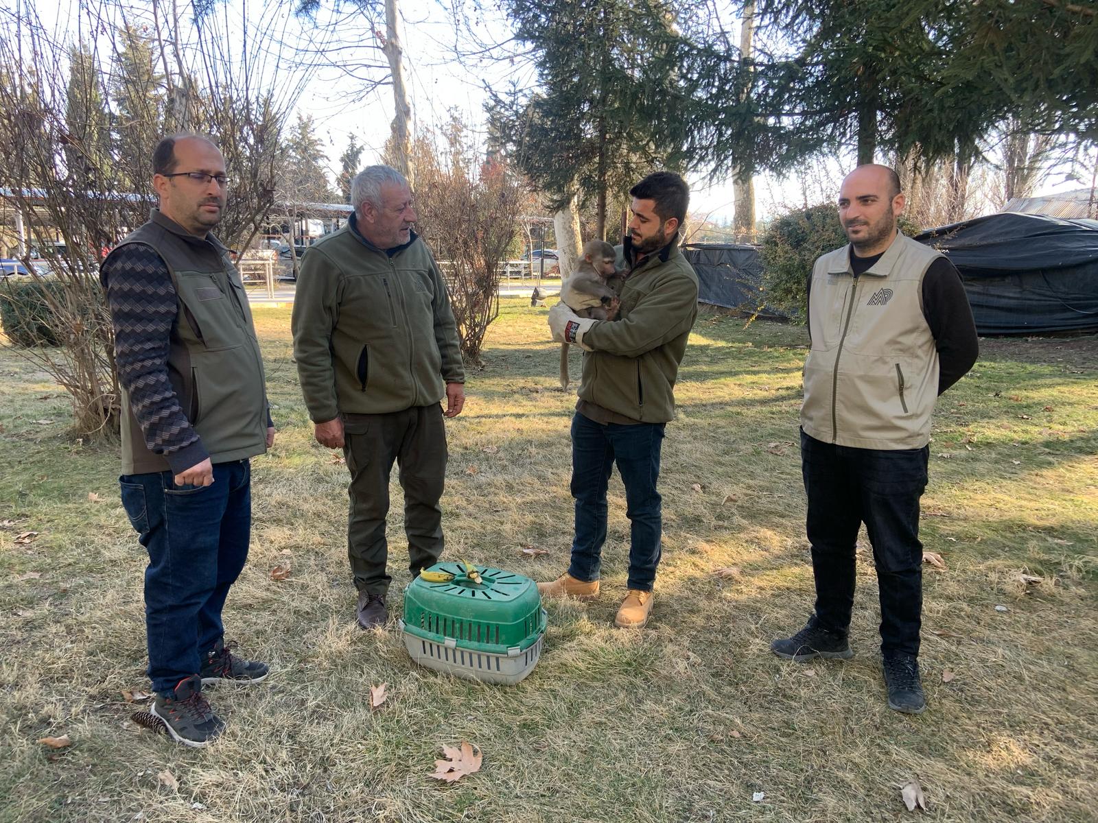 Elazıg'da makak maymunu bulundu