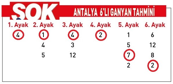 O A S İ S0603-1