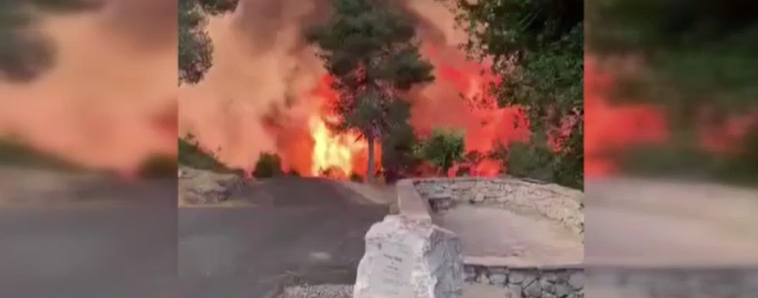 Israıl Kudus'te orman yangını