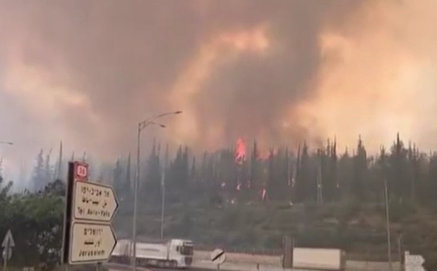 Israıl Kudus'te orman yangını