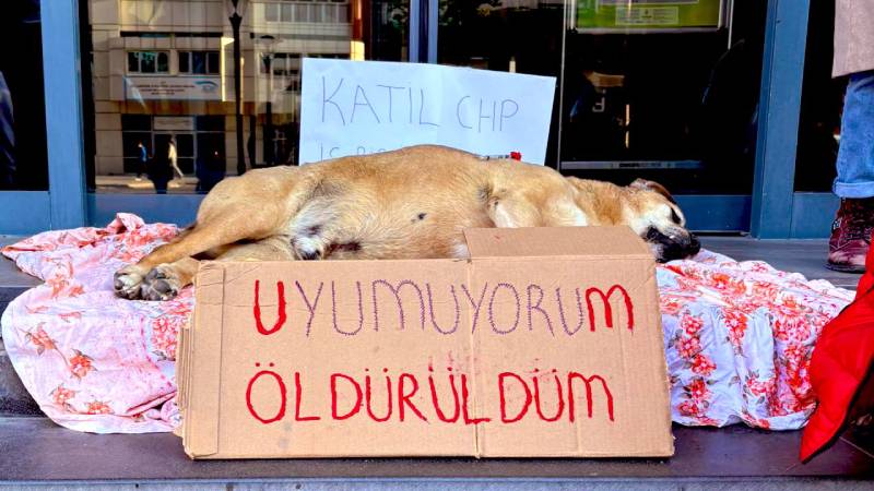 1747812508490 Yeni Proje 4