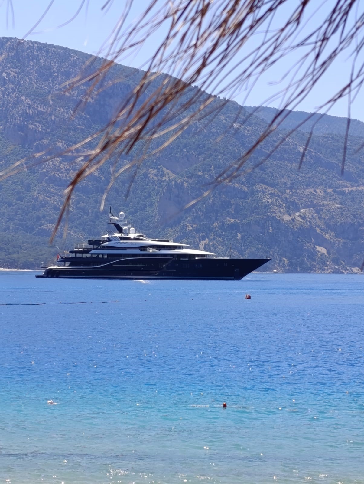 A W459779 01