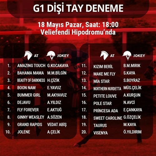 Disitydnmhab16525