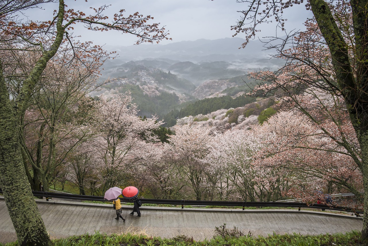 Landscape 2124033 1280