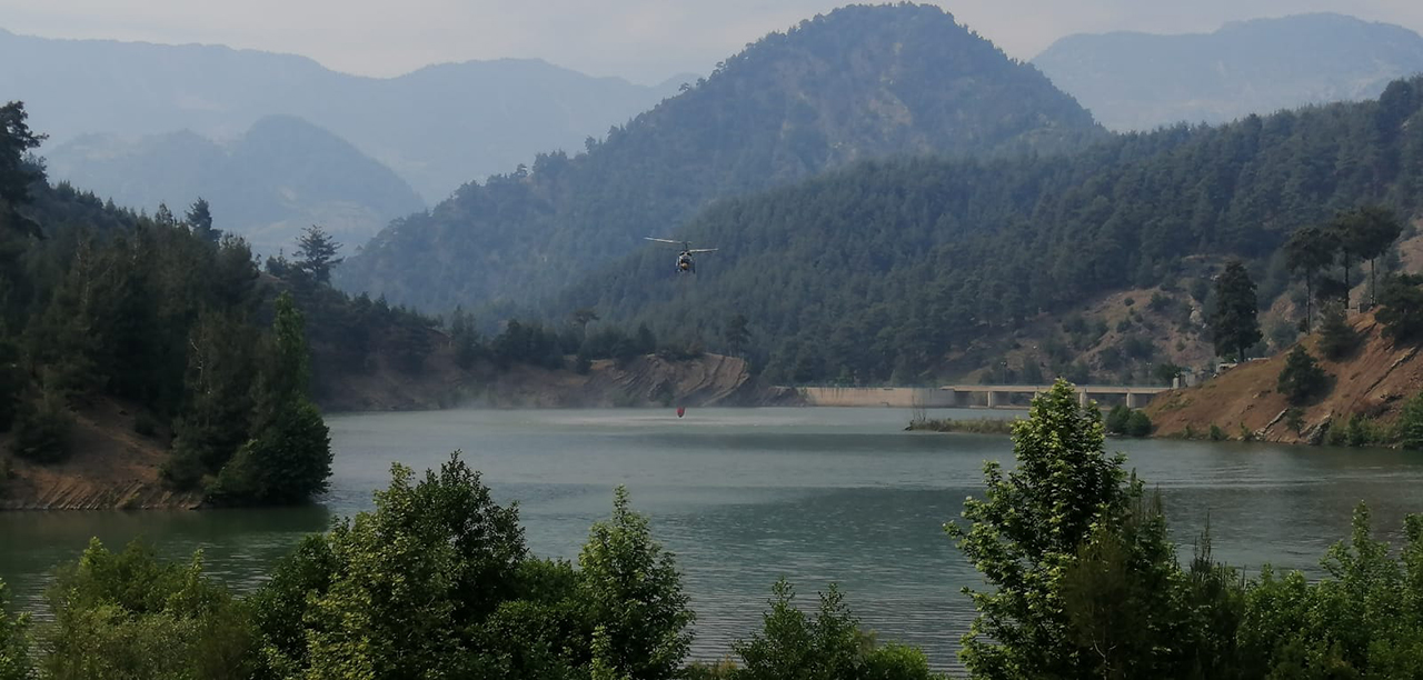 Kahramanmaraş'ta Orman Yangını 2
