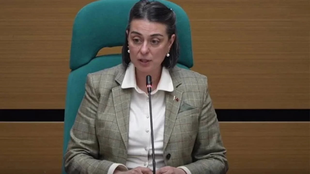 Sinem Dedetas Tan Dilek Imamoglu Na Yonelik Hakaretlere Tepki Ak Partili Bir Anneye Soyleyemezsin