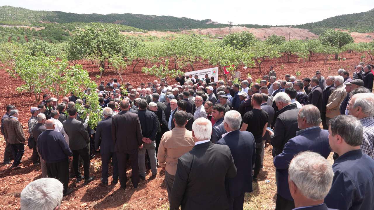 Yeni Proje-76