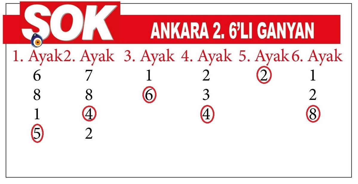 0306 İ M C E N S A H İ N-1