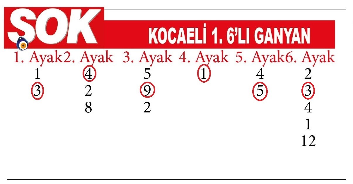 0306 O A S İ S-1
