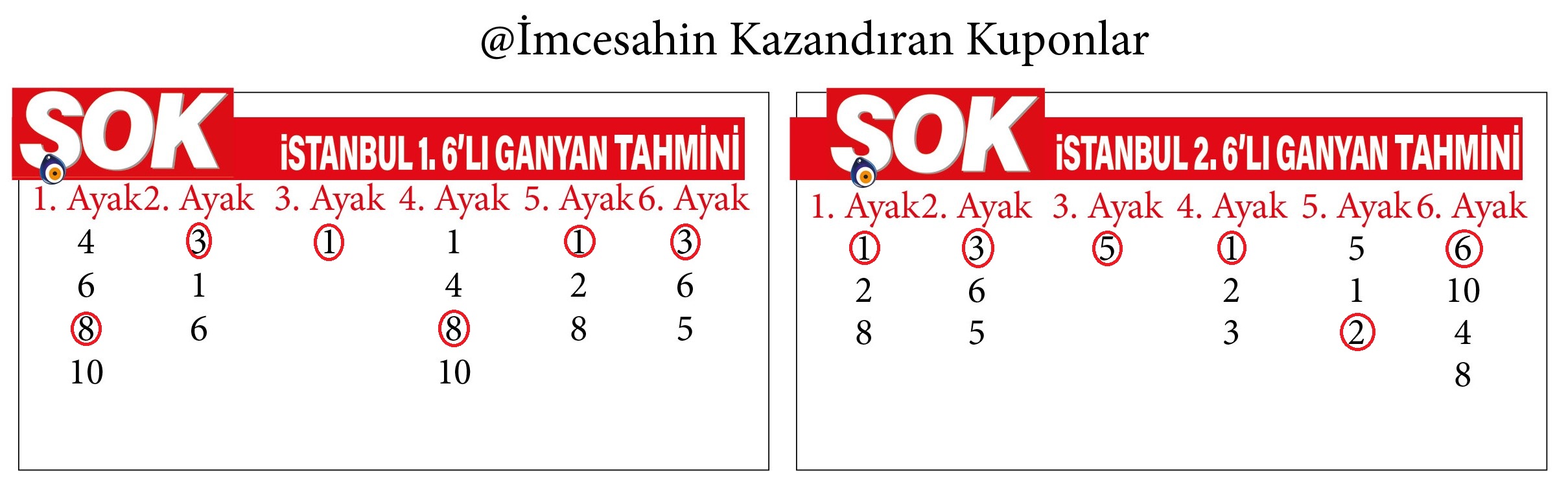 0606Imcensahin-1