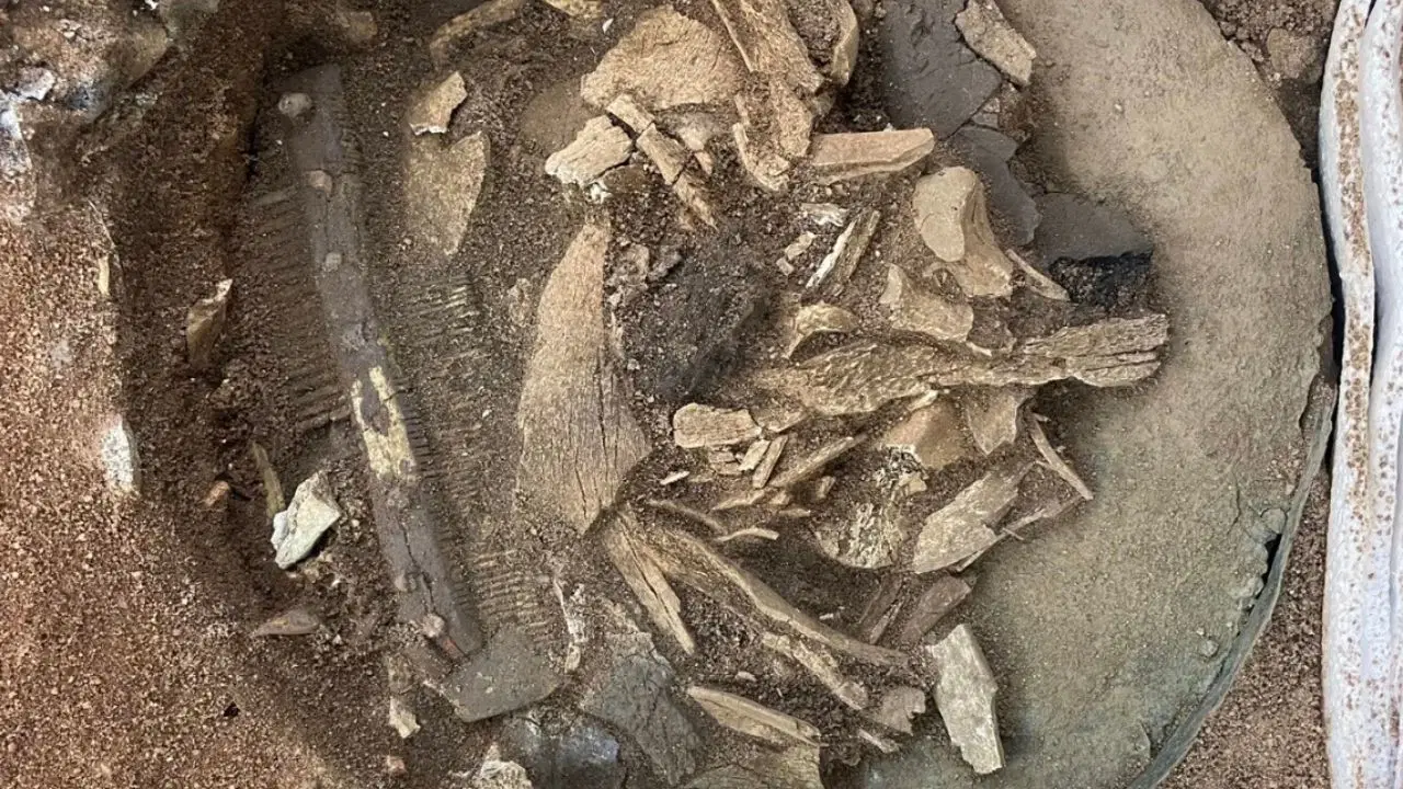 G-46