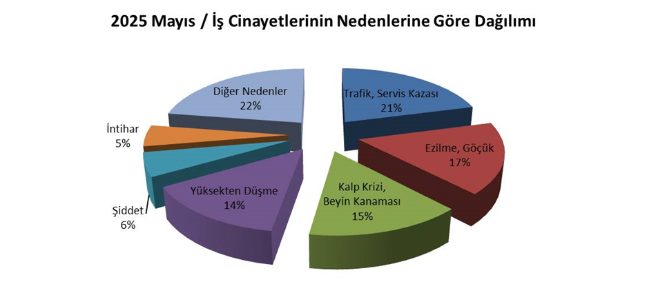İ S İ G