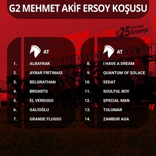Mehmet Akif