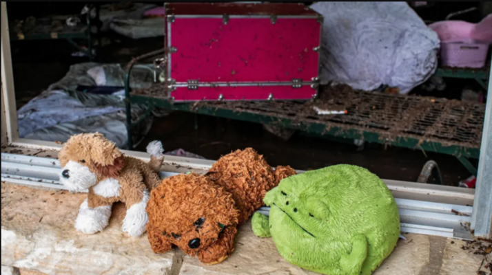 Ekran Görüntüsü 2025 07 07 10255